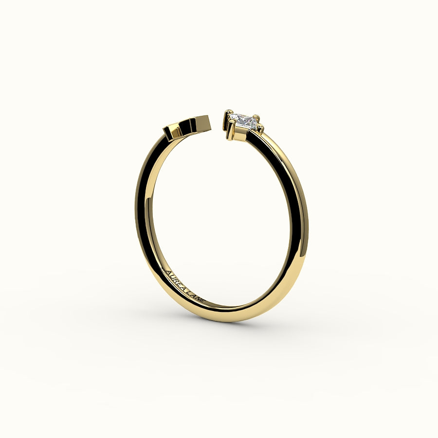 Compass Princess Cut Initial and Diamond Ring