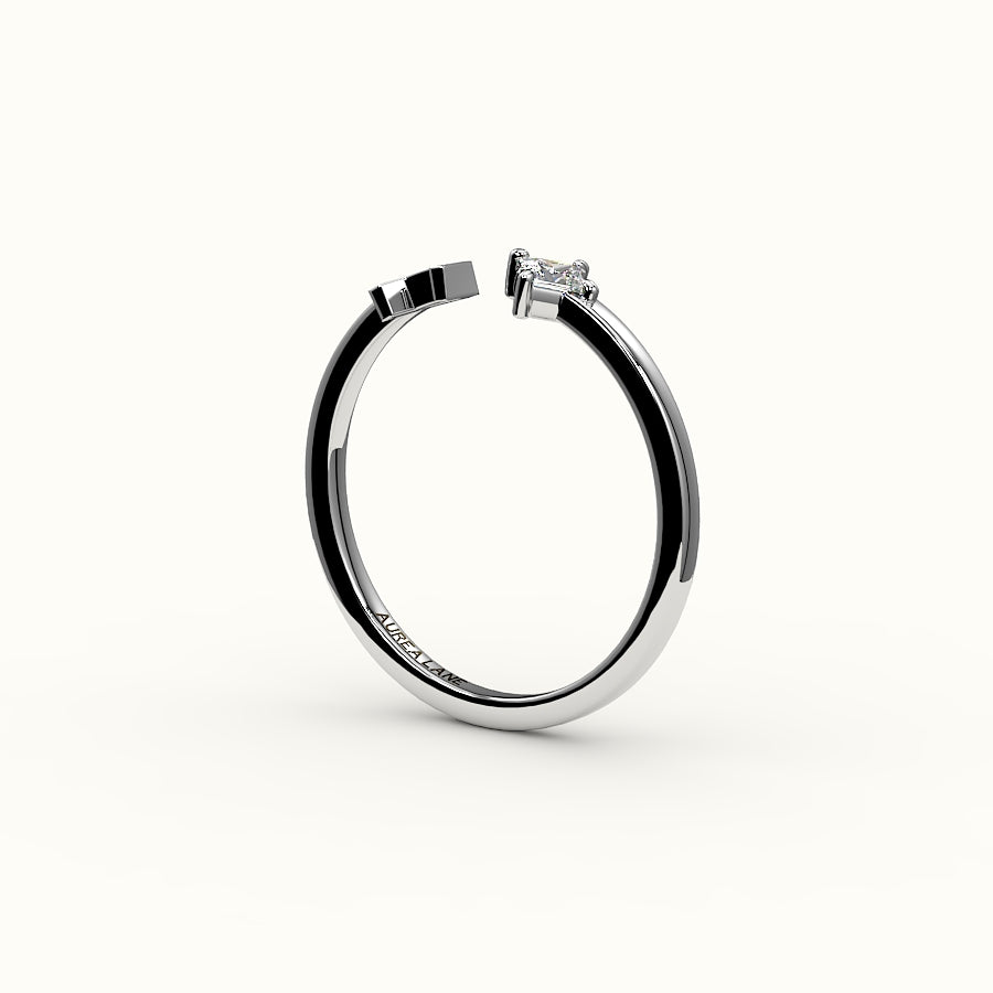 Compass Princess Cut Initial and Diamond Ring