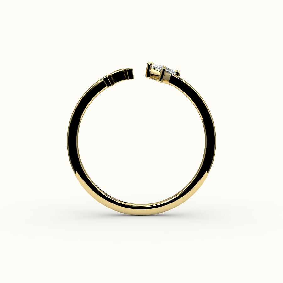 Compass Princess Cut Initial and Diamond Ring